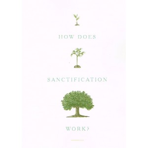 How Does Sanctification Work? by David Powlison